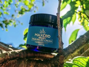 MaxCBD Wellness Pain Relief Cream Review CBD Sloth