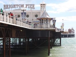buy cbd in brighton