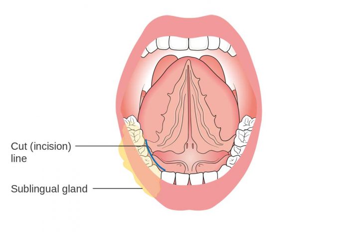 sublingual cbd consumption