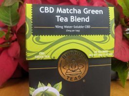 cbd-matcha-green