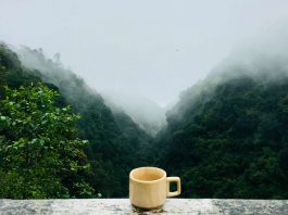 hemp tea benefits