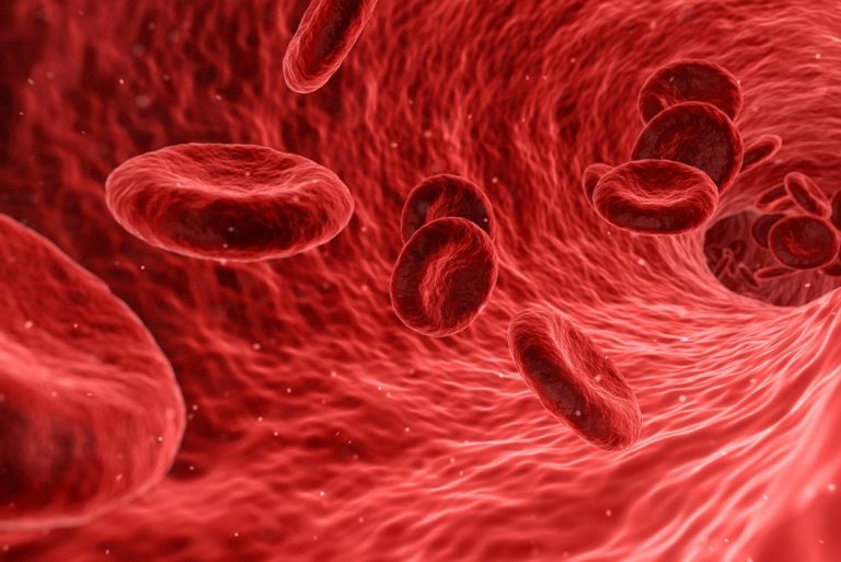 Does CBD Thin Your Blood?