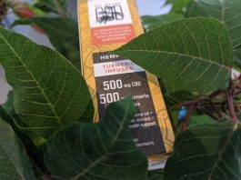 turmeric infused hemp oil