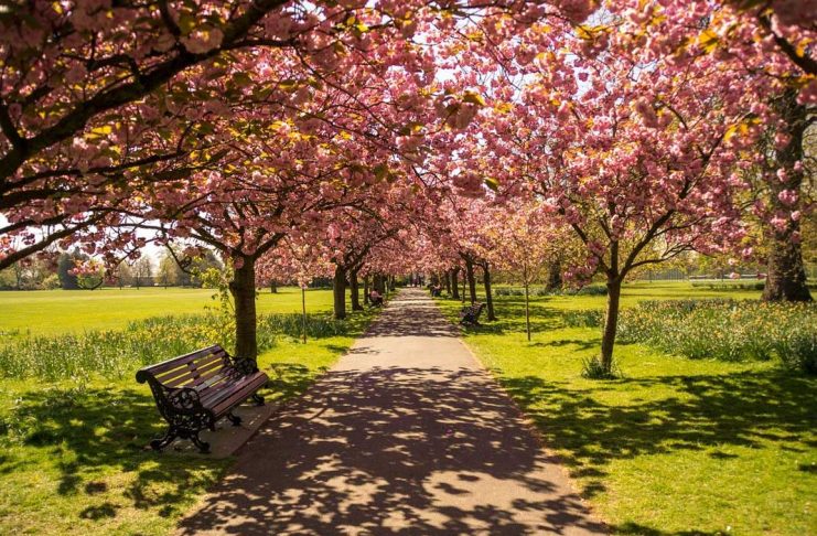 hyde-park
