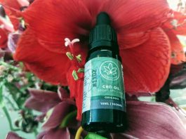 heart hemp cbd oil