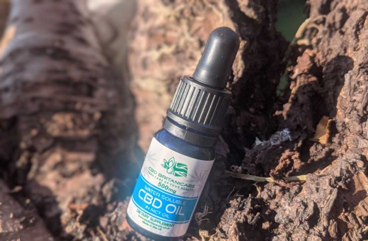 water-soluble-cbd-oil