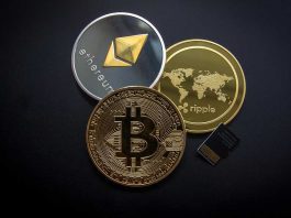 cbd-cryptocurrency