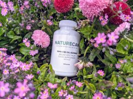 naturecan-gummies-review