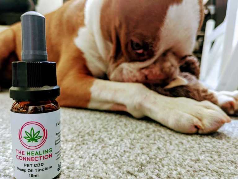 The Healing Connection Pet CBD Review