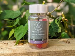 heart-hemp-multivitamin-gum