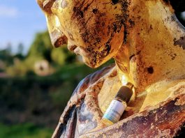 naturecan-menthol