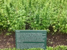 soil-regeneration