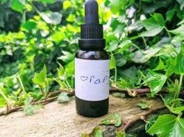 free-cbd-sample
