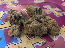 cbd-dominant-strains