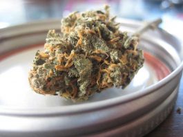 cbd extraction methods
