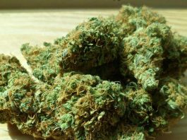 synthetic-cbd