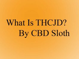 What Is THCJD – Everything You Need To Know thcjd