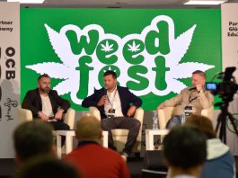 weedfest-banner
